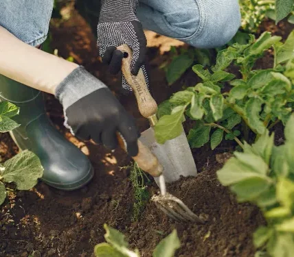 Clawed-Gardening-Gloves