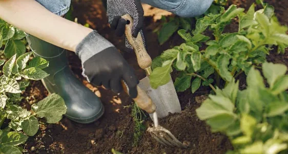 Clawed-Gardening-Gloves