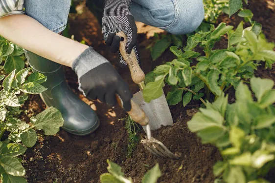 Clawed-Gardening-Gloves